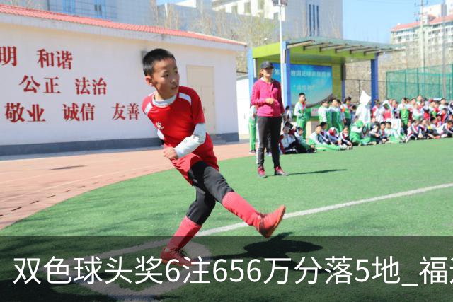 双色球头奖6注656万分落5地 福运奖开813万注